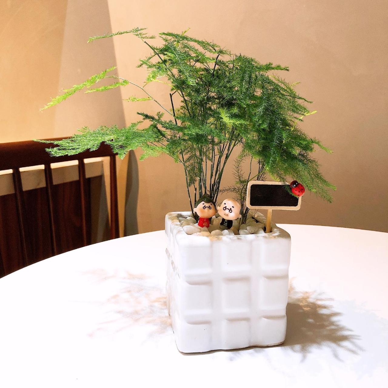 Nha La Homestay Hanoi Eksteriør bilde